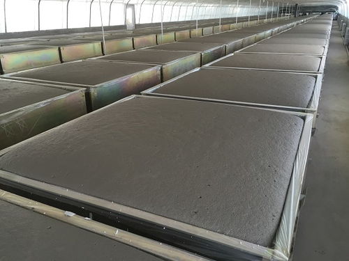 水泥发泡保温板全自动生产线 威宝机械 水泥发泡保温板